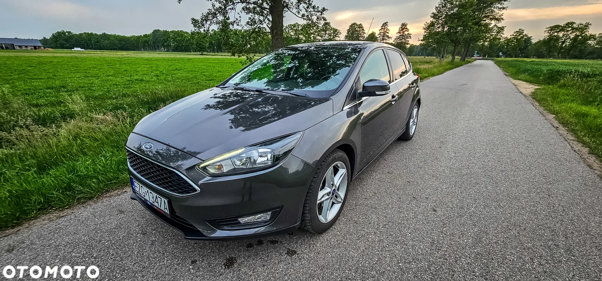 Ford Focus 1.6 Trend Sport - 20