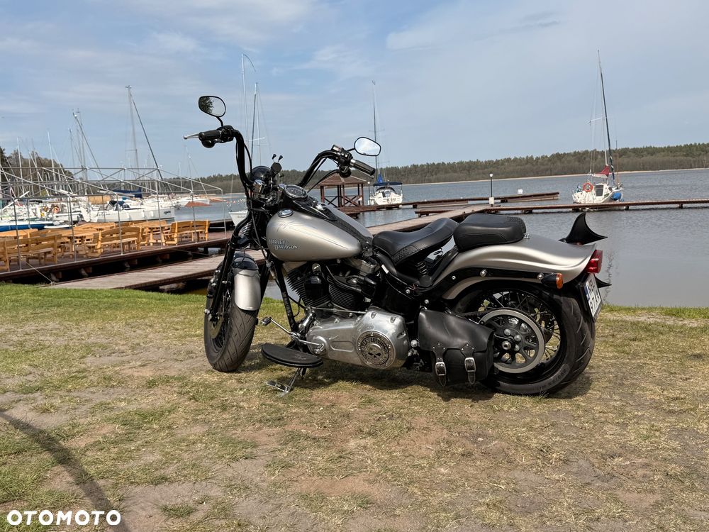 Harley-Davidson Softail Cross Bones - 9