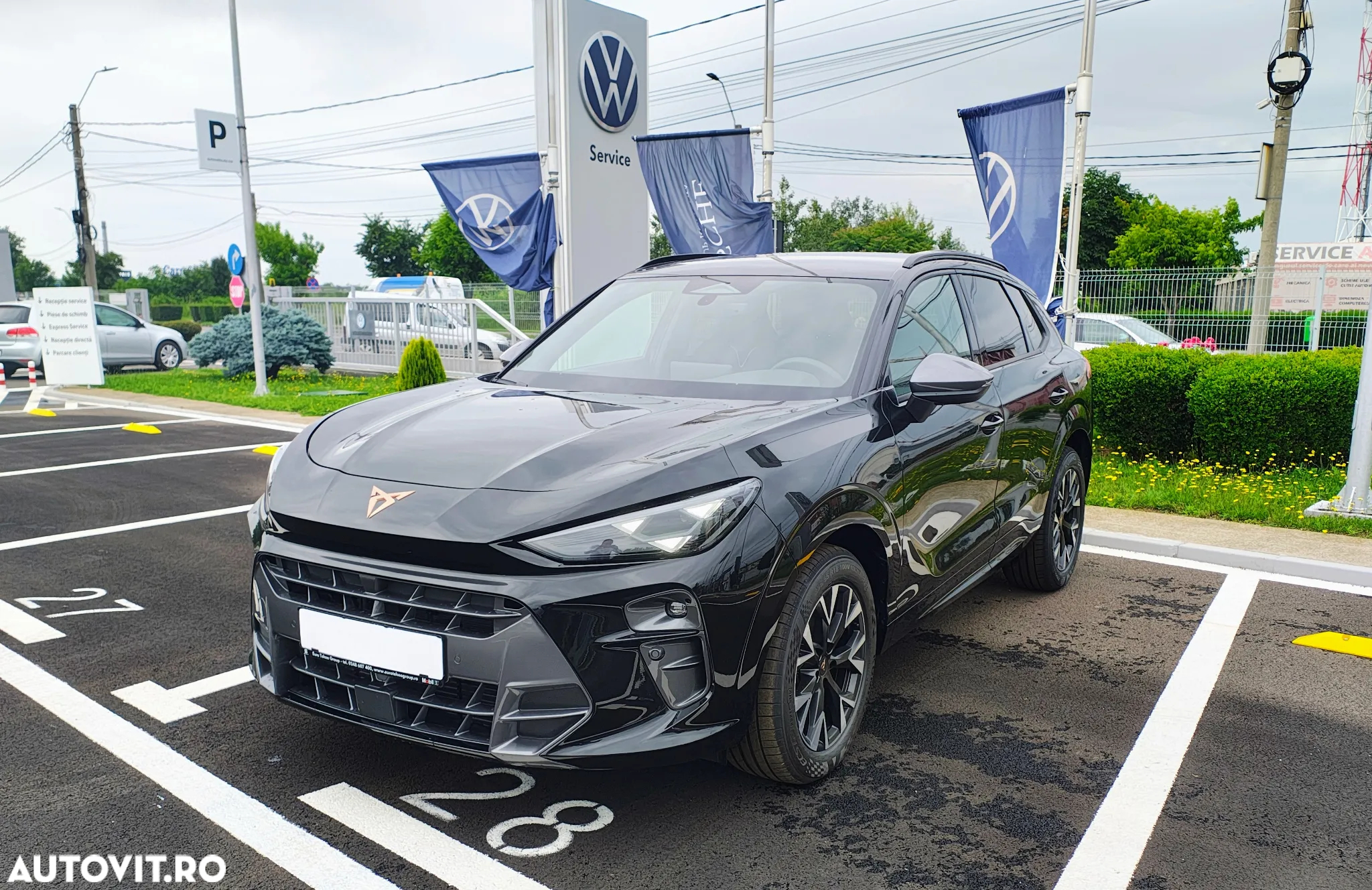 Cupra Terramar - 3