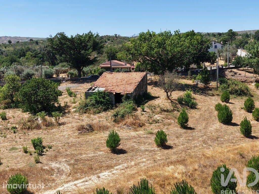Terreno em Abrunhosa-a-Velha - Grande imagem: 2/13