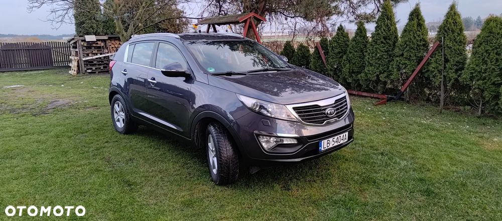 Kia Sportage - 1