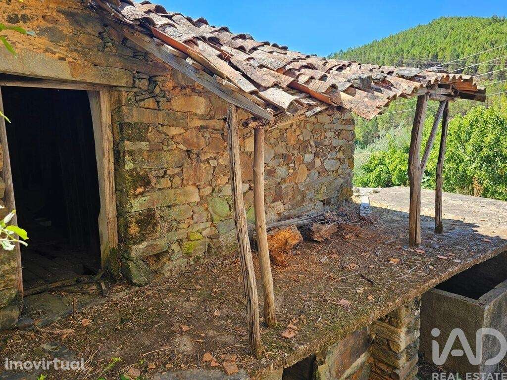 Casa de aldeia T3 em Sobreira Formosa e Alvito da Beira de 193,00 m2 - Grande imagem: 3/11
