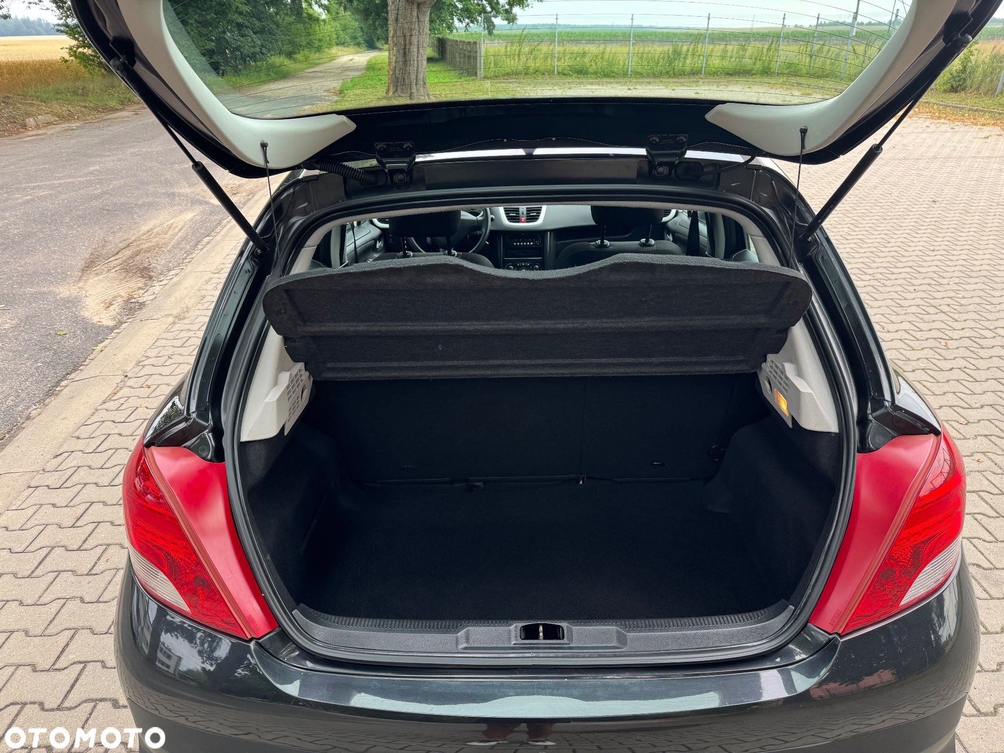 Peugeot 207 - 20