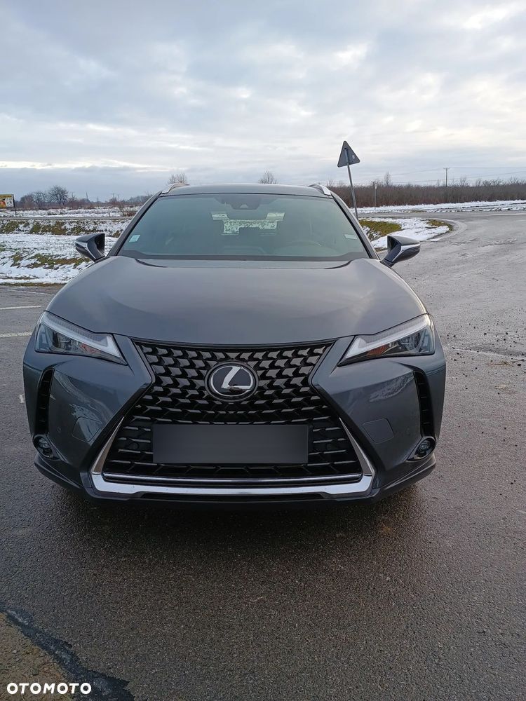 Lexus UX 250h GPF Business Edition 2WD - 13