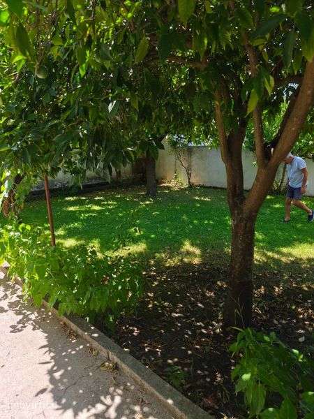 Moradia em Mora. Rua Francisco Mantero nº3 - Grande imagem: 5/9