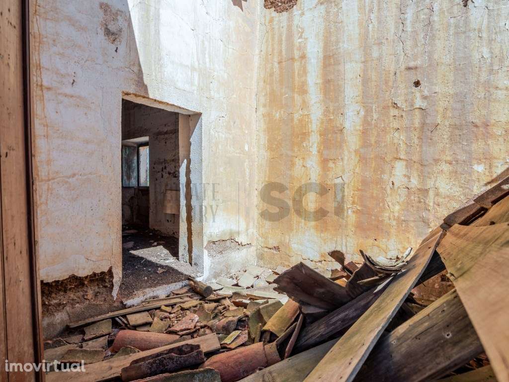Pequena Quinta com Ruína para Recuperar em Vila Nova de São Bento - Grande imagem: 5/28