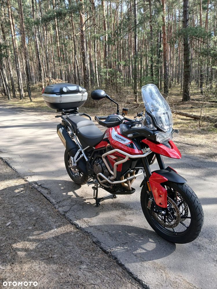 Triumph Tiger - 3