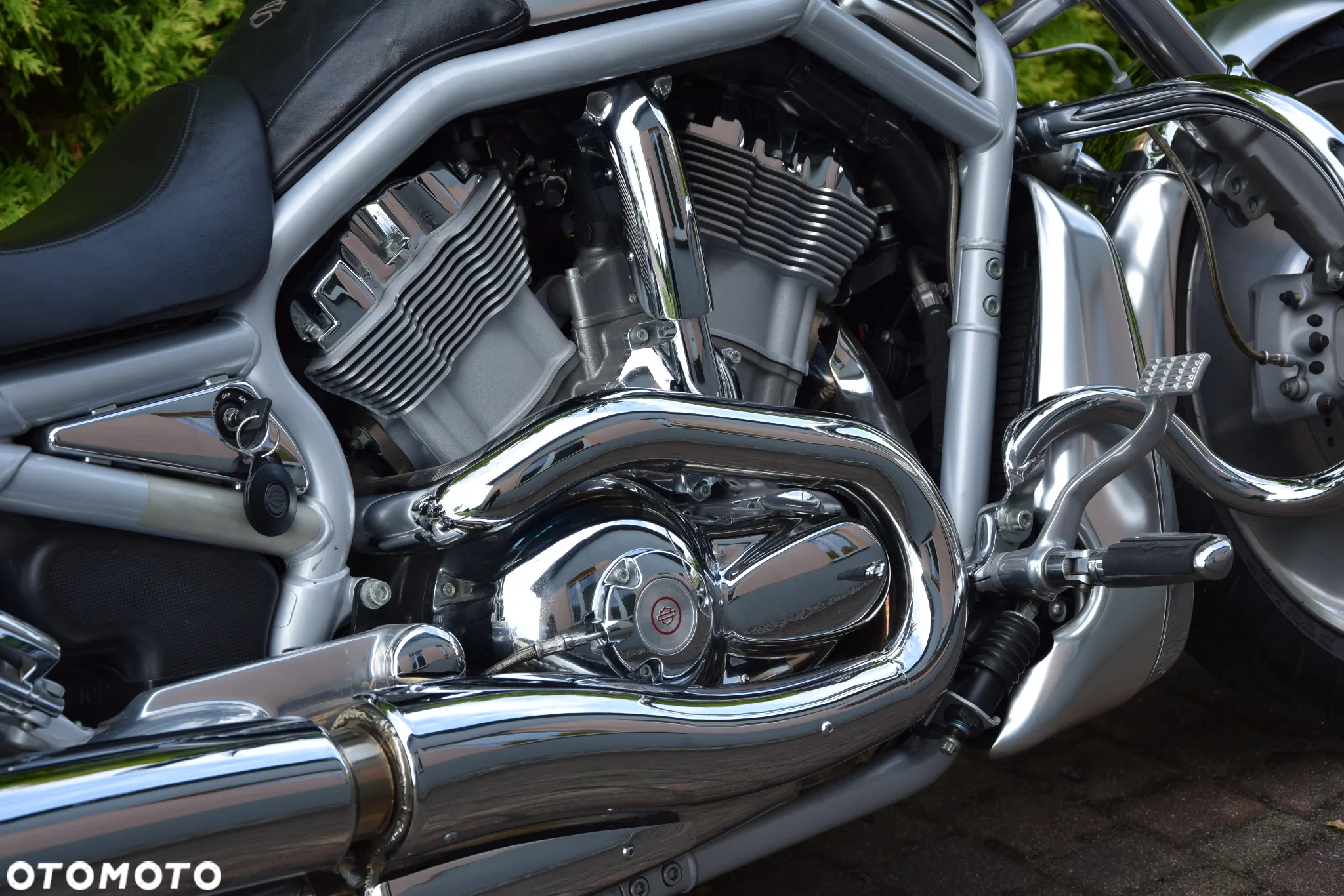 Harley-Davidson Softail V-Rod - 9