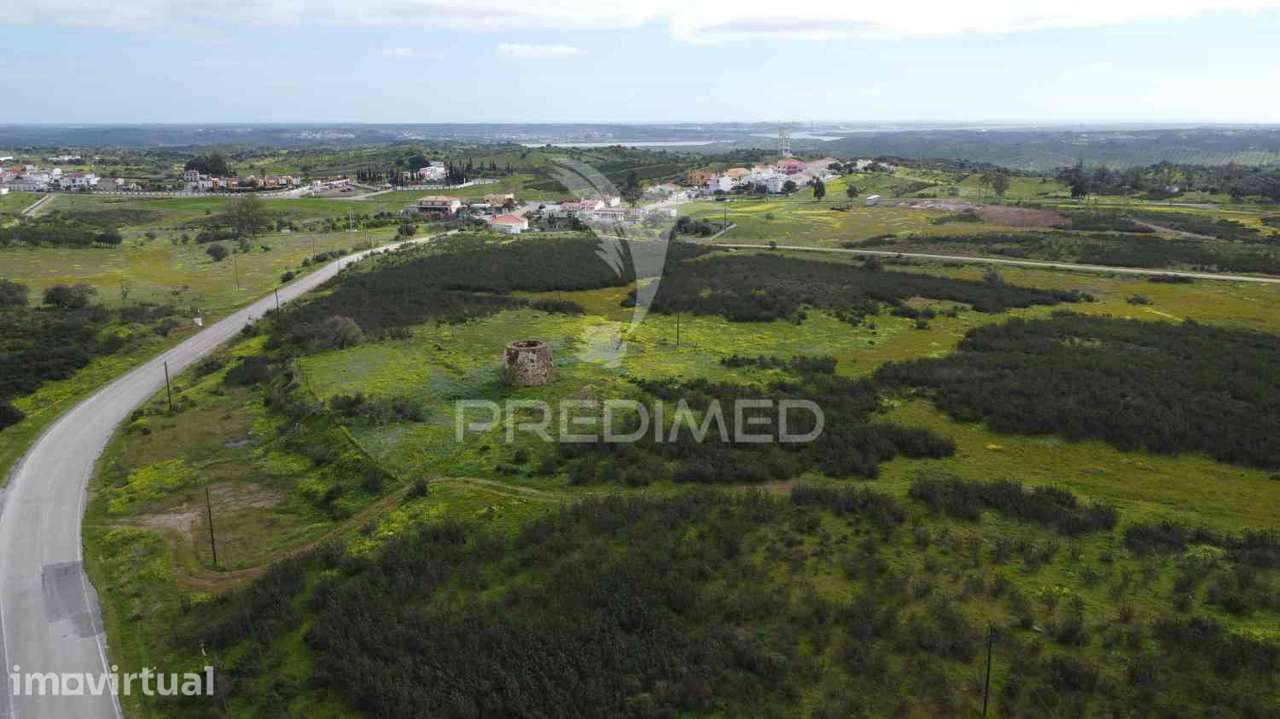 Terreno rústico com 7,3ha no Azinhal, pode construir 300m2 - Grande imagem: 3/33