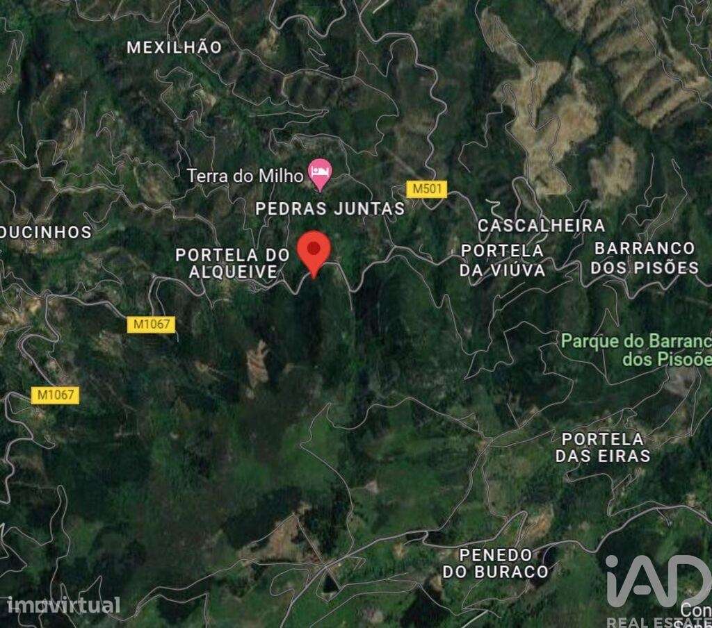 Terreno em Monchique de 928,00 m2