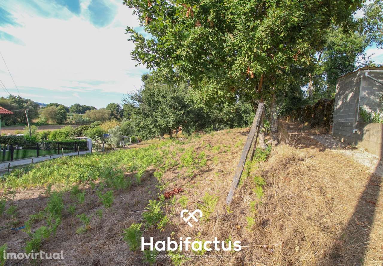 Terreno para Construção em Sabugosa – 1470m² - Grande imagem: 3/13