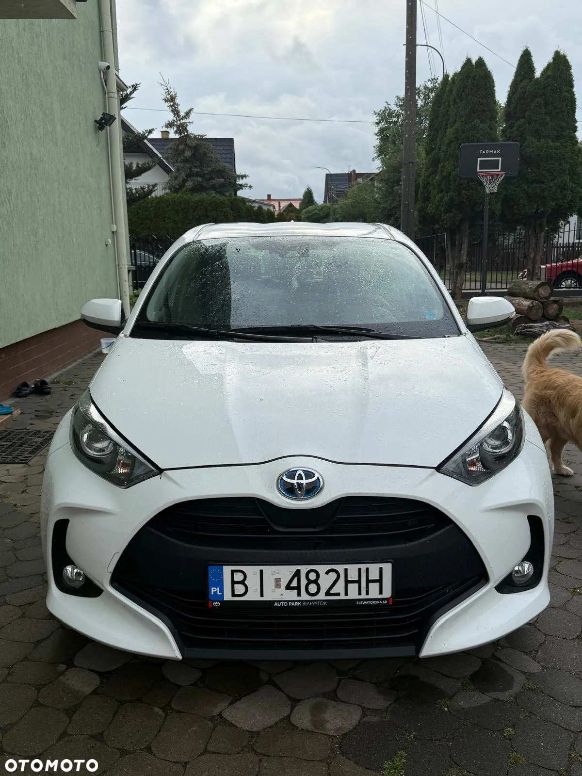 Toyota Yaris - 3