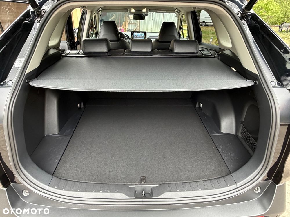 Toyota RAV4 2.5 Hybrid Executive 4x4 - 19