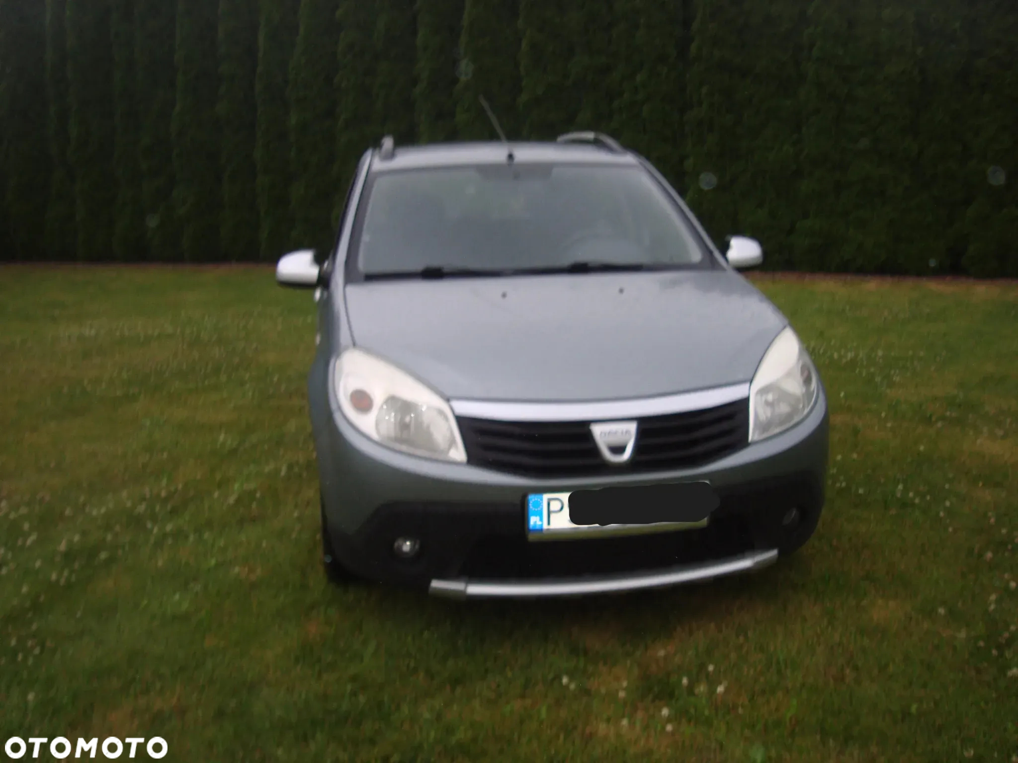 Dacia Sandero Stepway 1.6 - 18