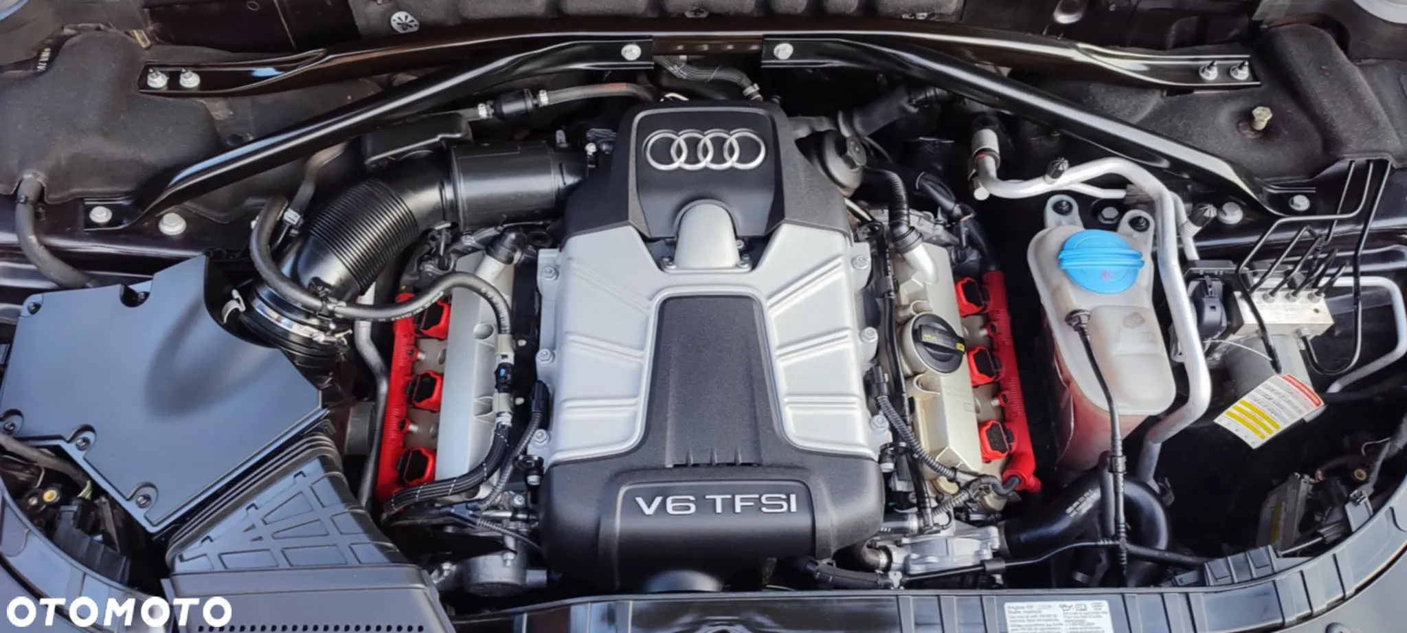 Audi SQ5 3.0 TFSI Quattro Tiptronic - 25