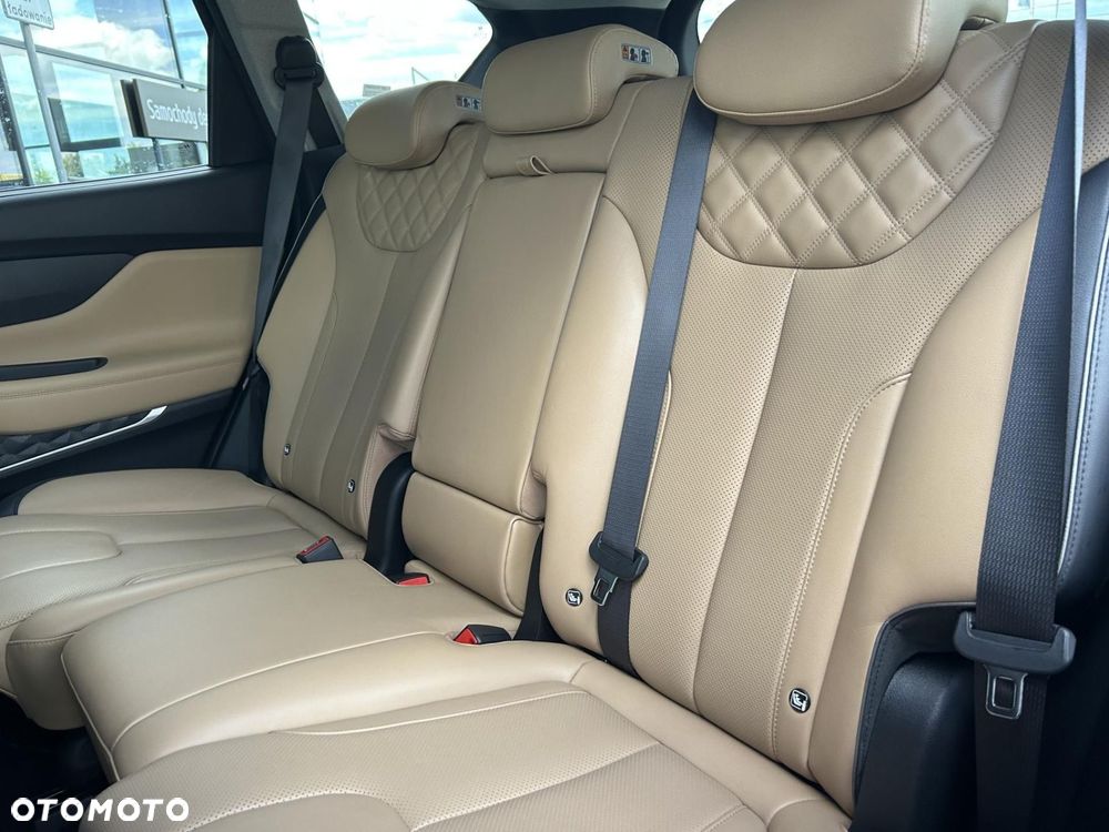 Hyundai Santa Fe - 17