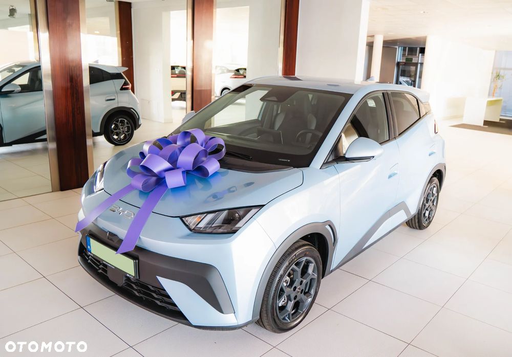 BYD Dolphin Surf - 6