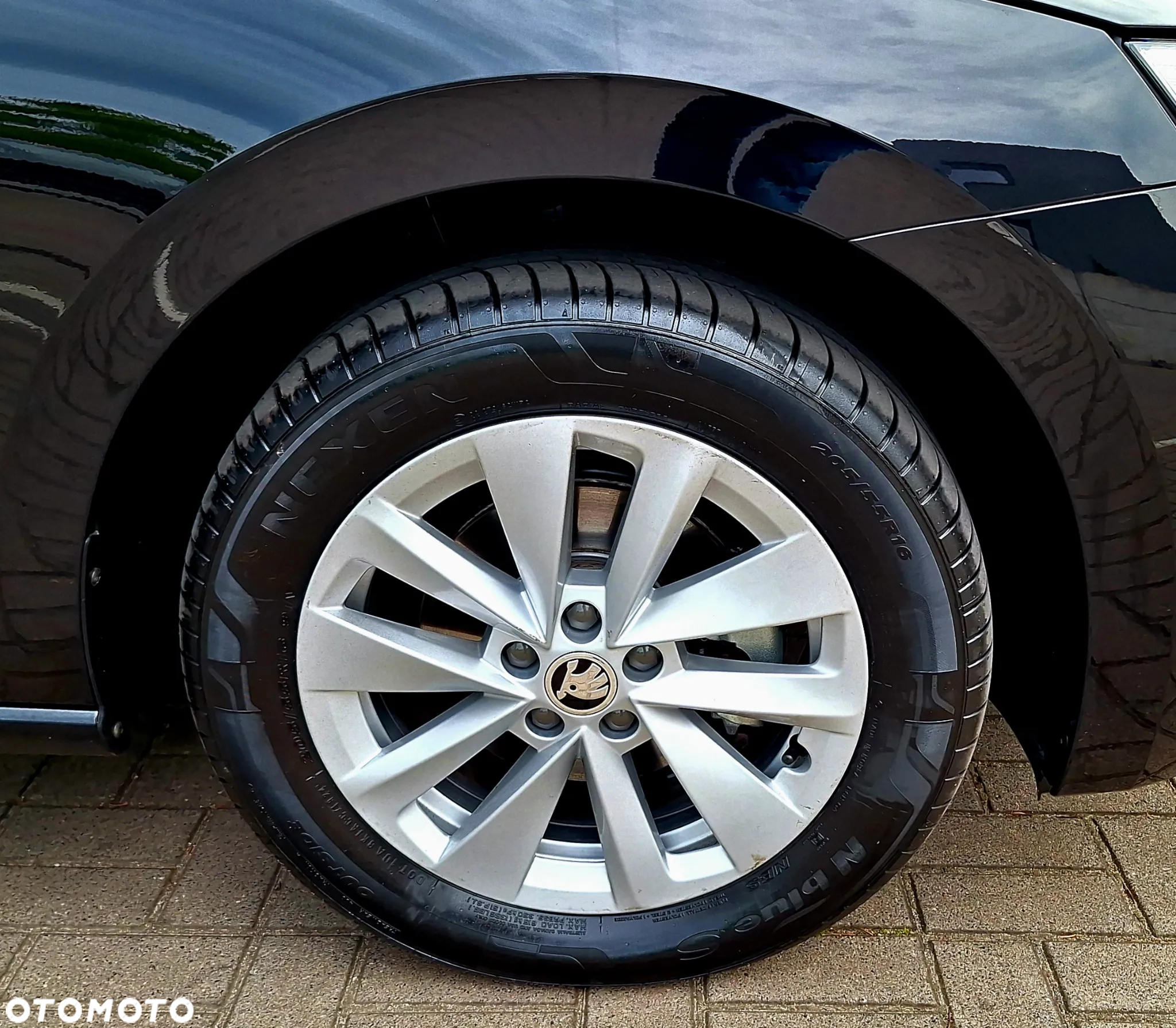 Skoda Scala 1.5 TSI Selection - 15