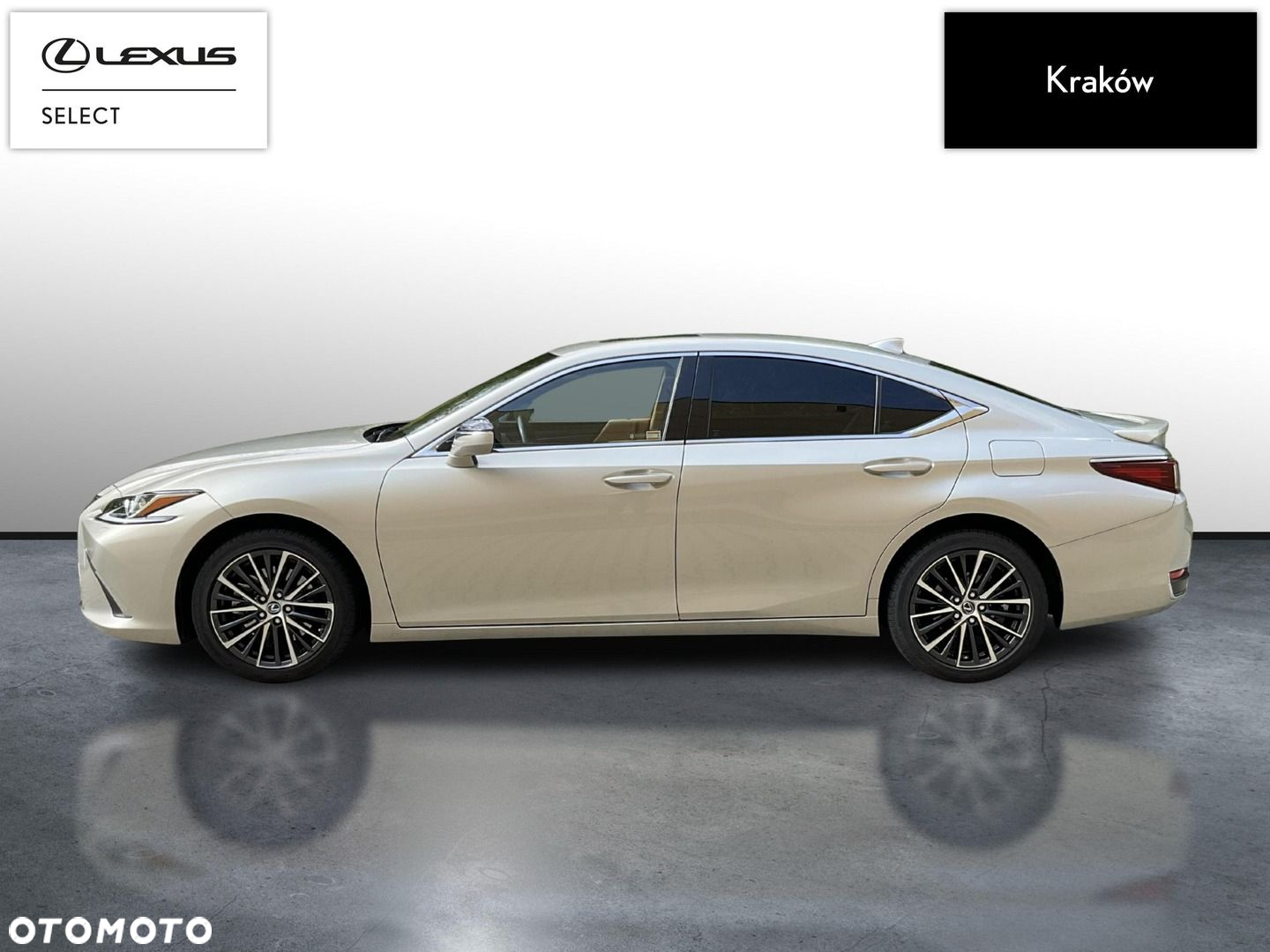 Lexus ES 300h Business Edition - 2
