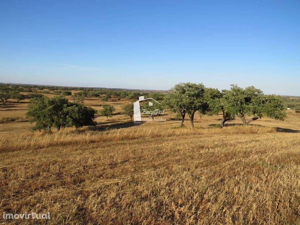 Terreno Rústico com 39.100m2 perto da Barragem da Rocha - Grande imagem: 5/16