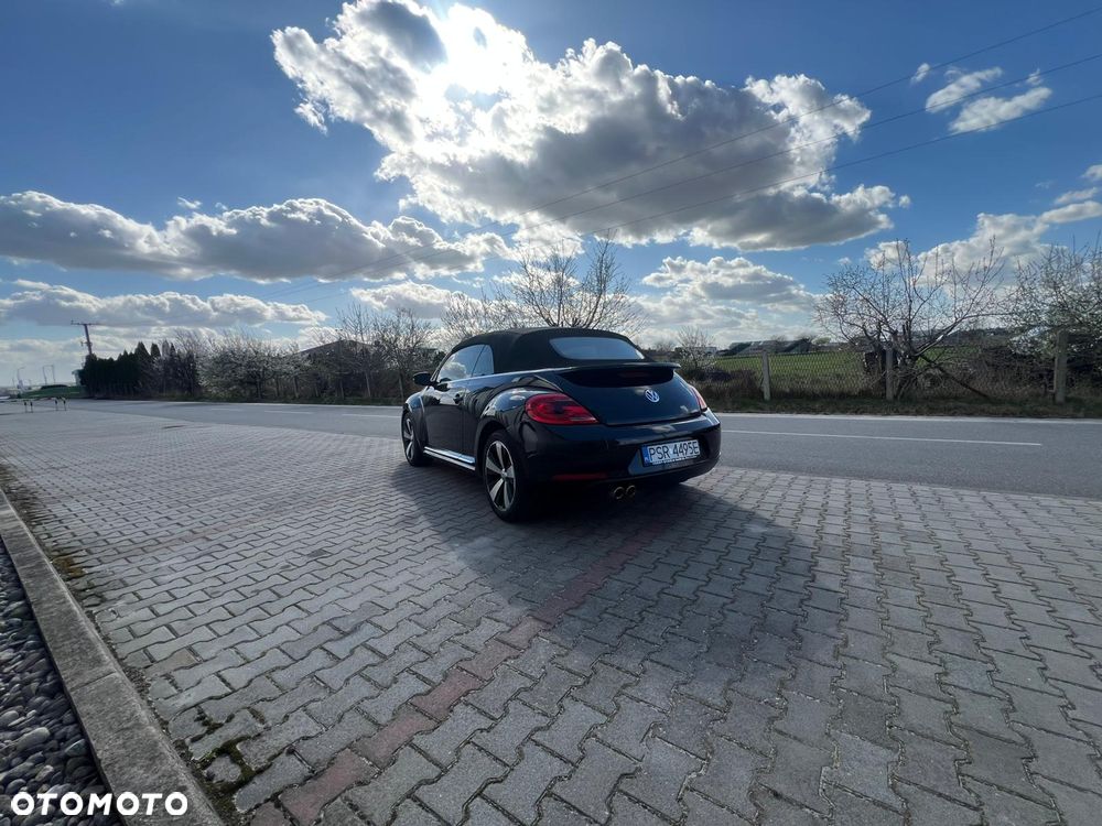 Volkswagen New Beetle - 10