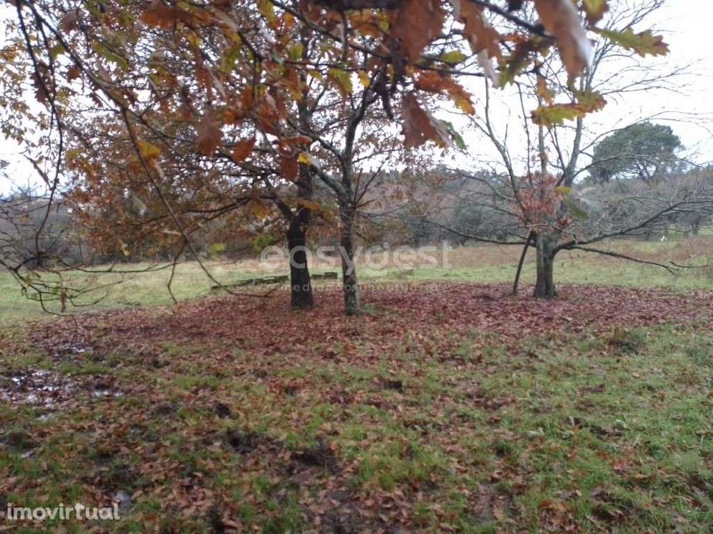 Terreno com viabilidade de construção em Canas de Santa Maria, Tondela - Grande imagem: 2/18