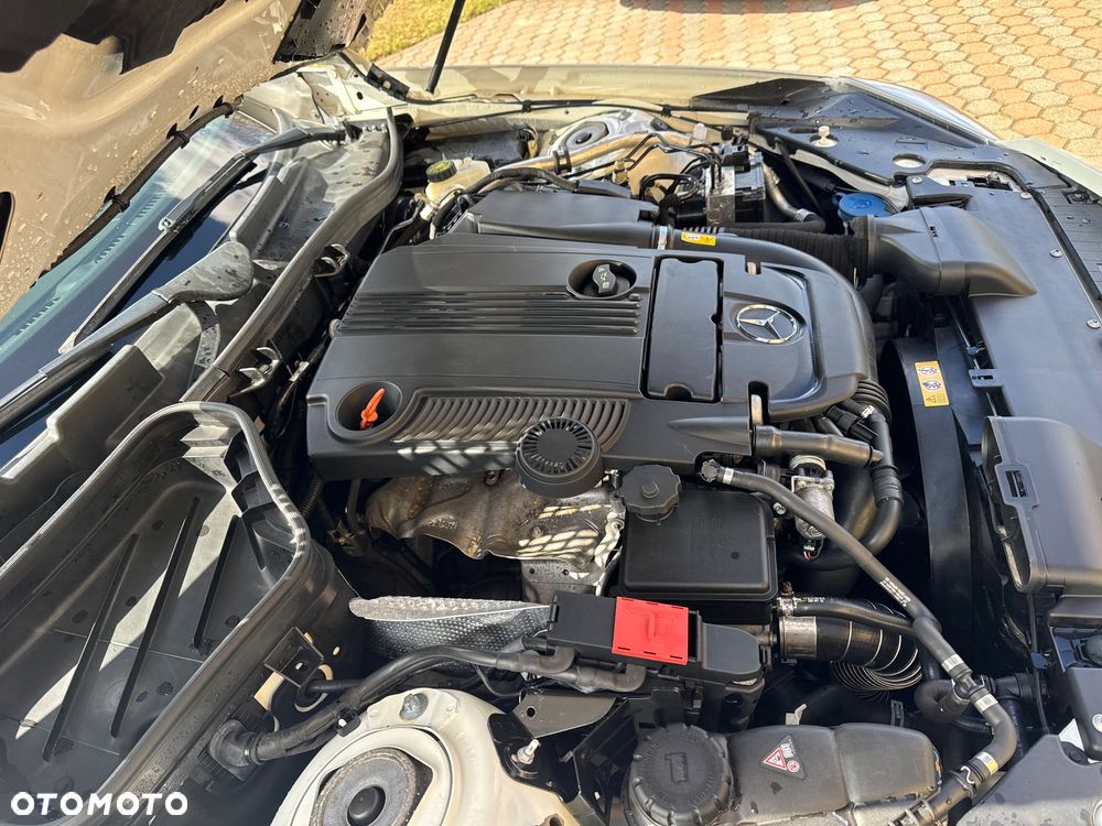 Mercedes-Benz SLK 250 (BlueEFFICIENCY) 7G-TRONIC - 22
