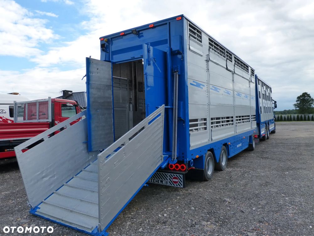 Scania R420 + PRZYCZEPA PEZZAIOLI / ZESTAW DO ŻYWCA, ZWIERZĄT, BYDŁA, TRZODY - 23