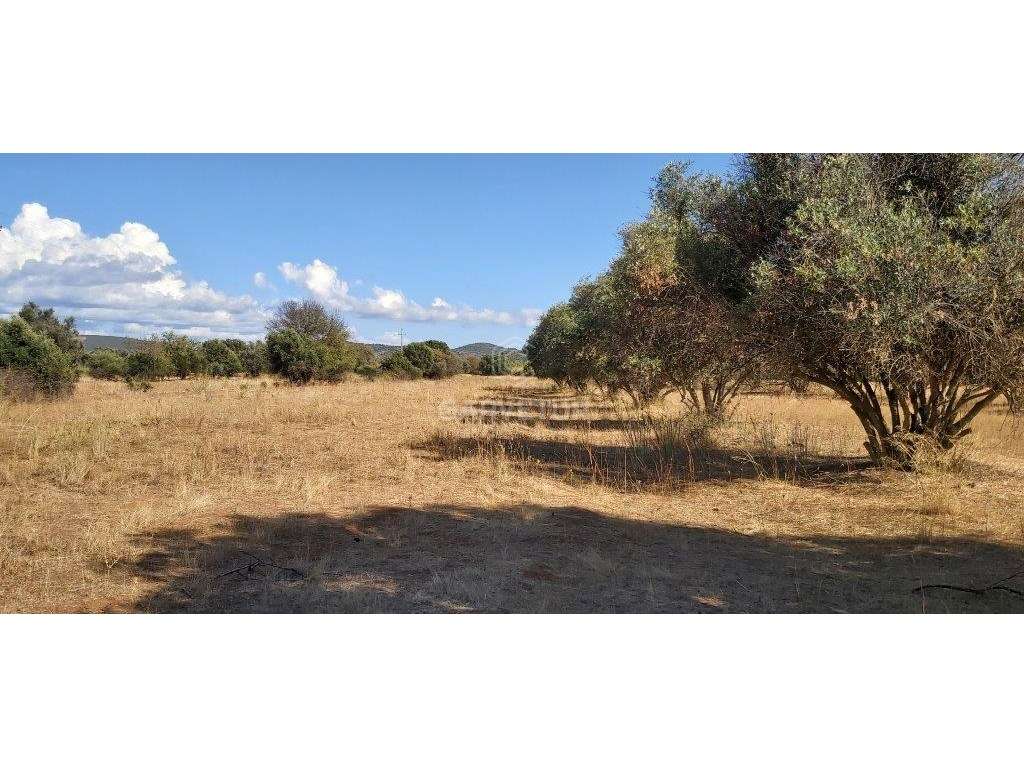 Terreno rústico, em zona agrícola, Porto dos Pires, Paderne, Albufe... - Grande imagem: 2/20