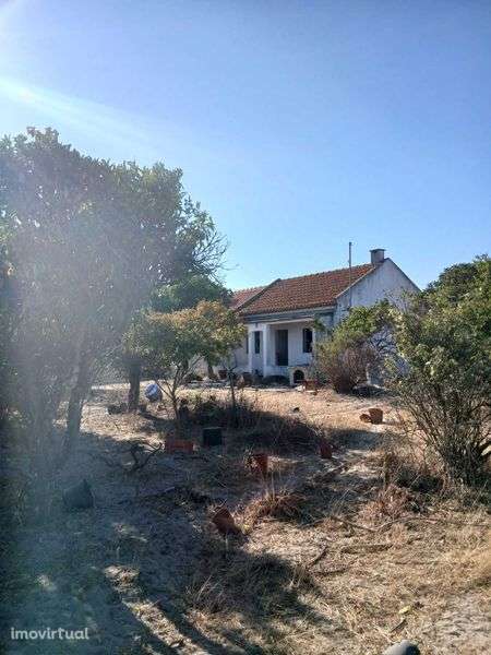 Terreno 2 hectares ótimo investimento! - Grande imagem: 4/9