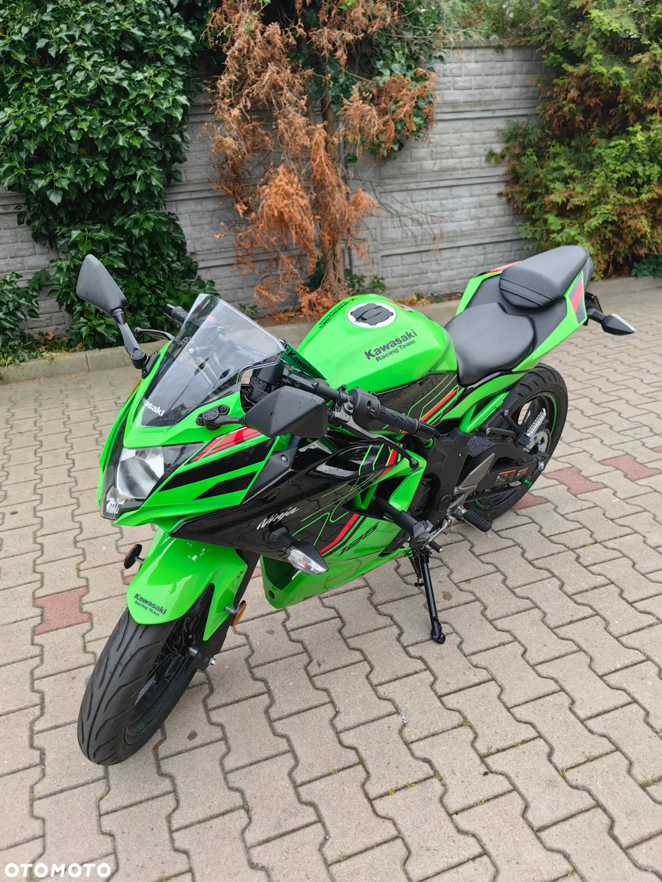 Kawasaki Ninja - 5
