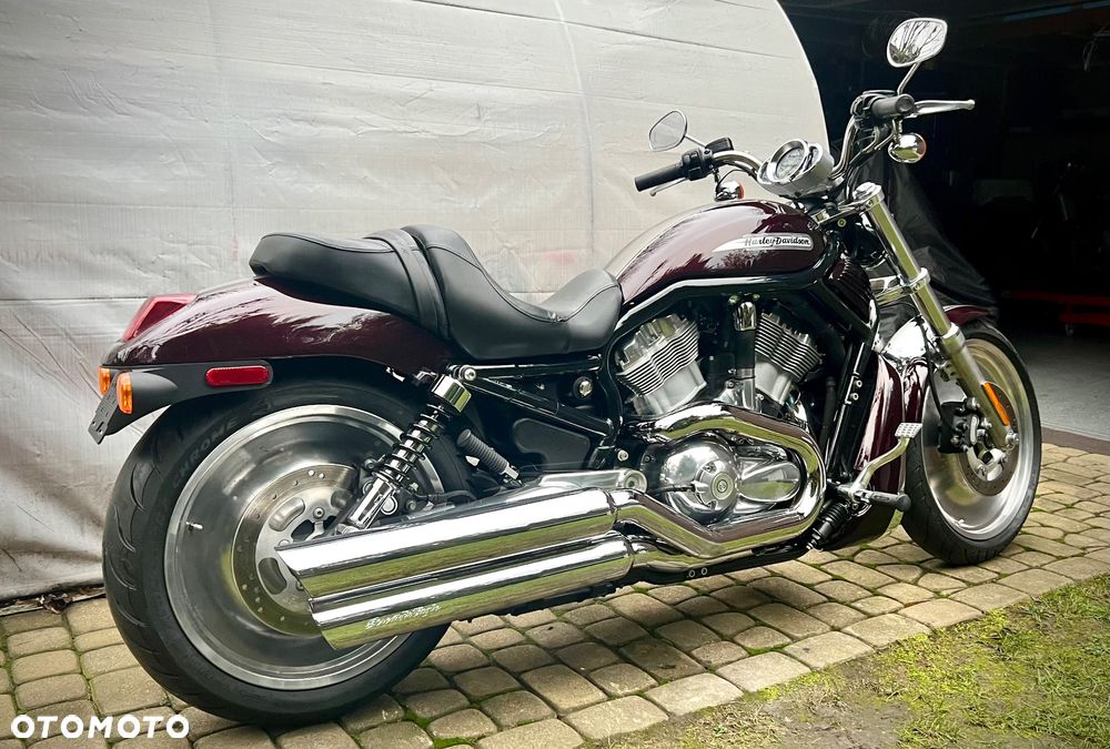 Harley-Davidson V-Rod Street Rod - 6