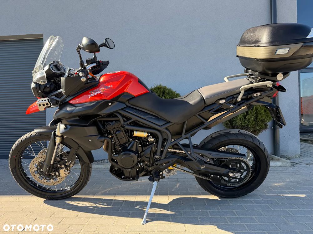 Triumph Tiger - 5