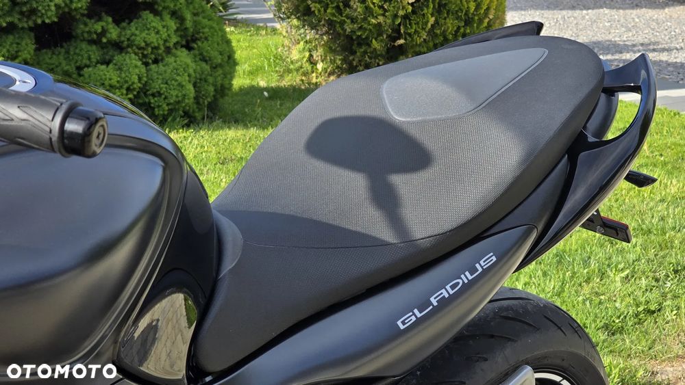 Suzuki Gladius - 14