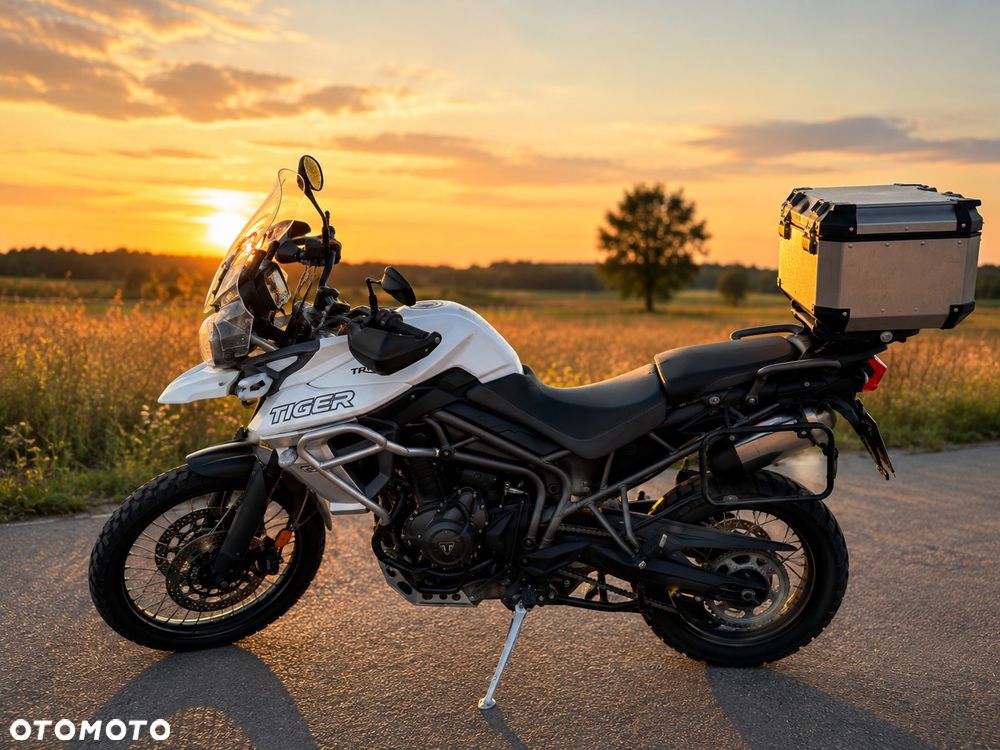Triumph Tiger - 2
