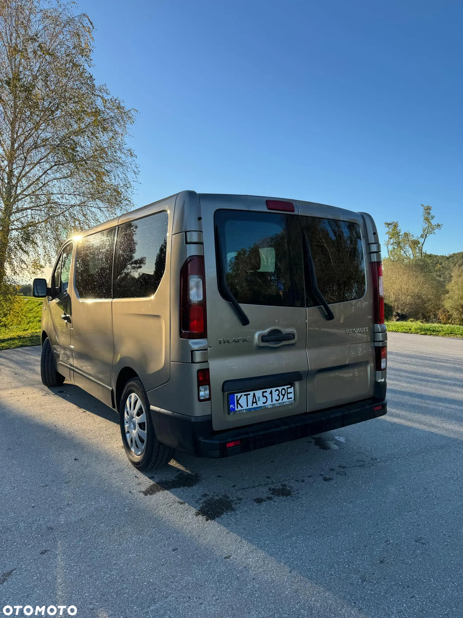 Renault Trafic - 15