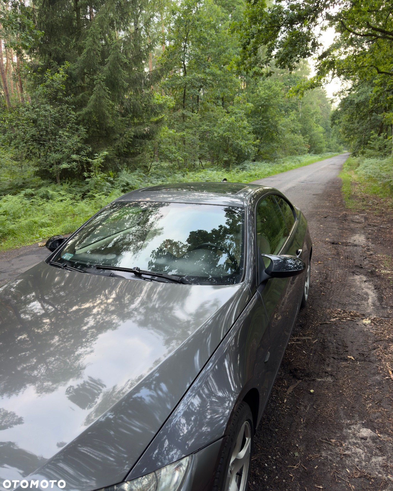 BMW Seria 3 - 19