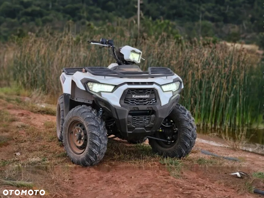 Kawasaki Brute Force - 5
