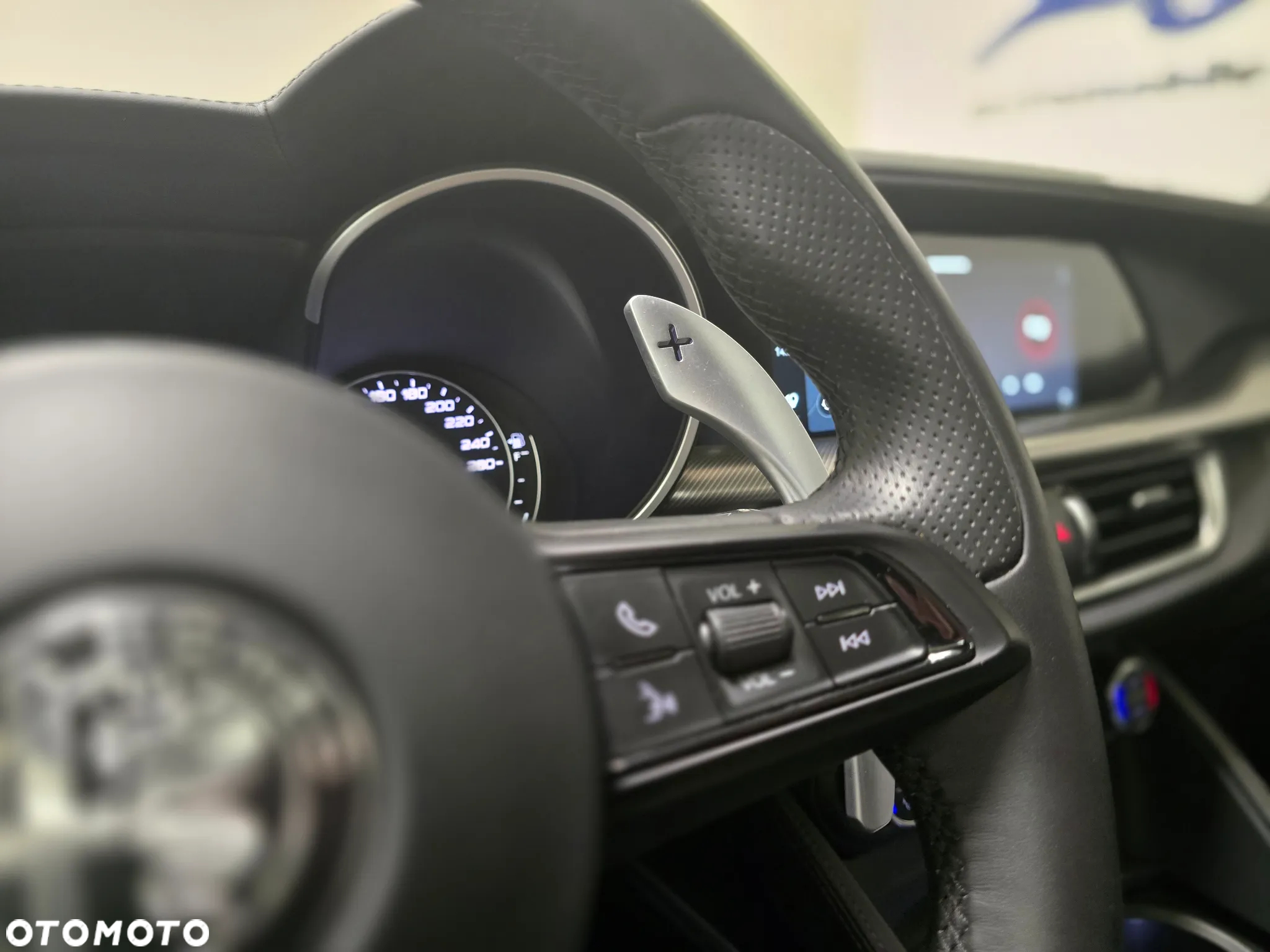 Alfa Romeo Stelvio 2.0 Turbo Veloce Q4 - 19