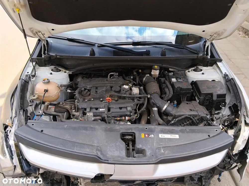 Kia Sportage 1.6 T-GDI MHEV Business Line 4WD DCT - 23