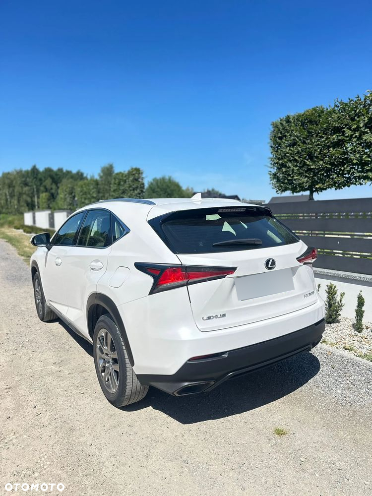 Lexus NX 300 Optimum AWD - 4