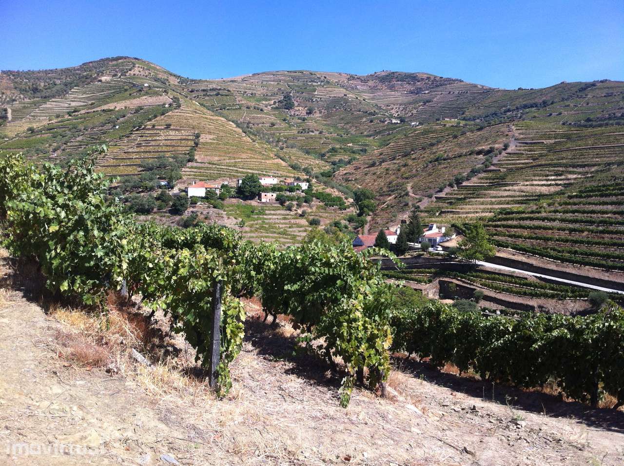 Quinta em Ervedosa do Douro - Grande imagem: 3/12