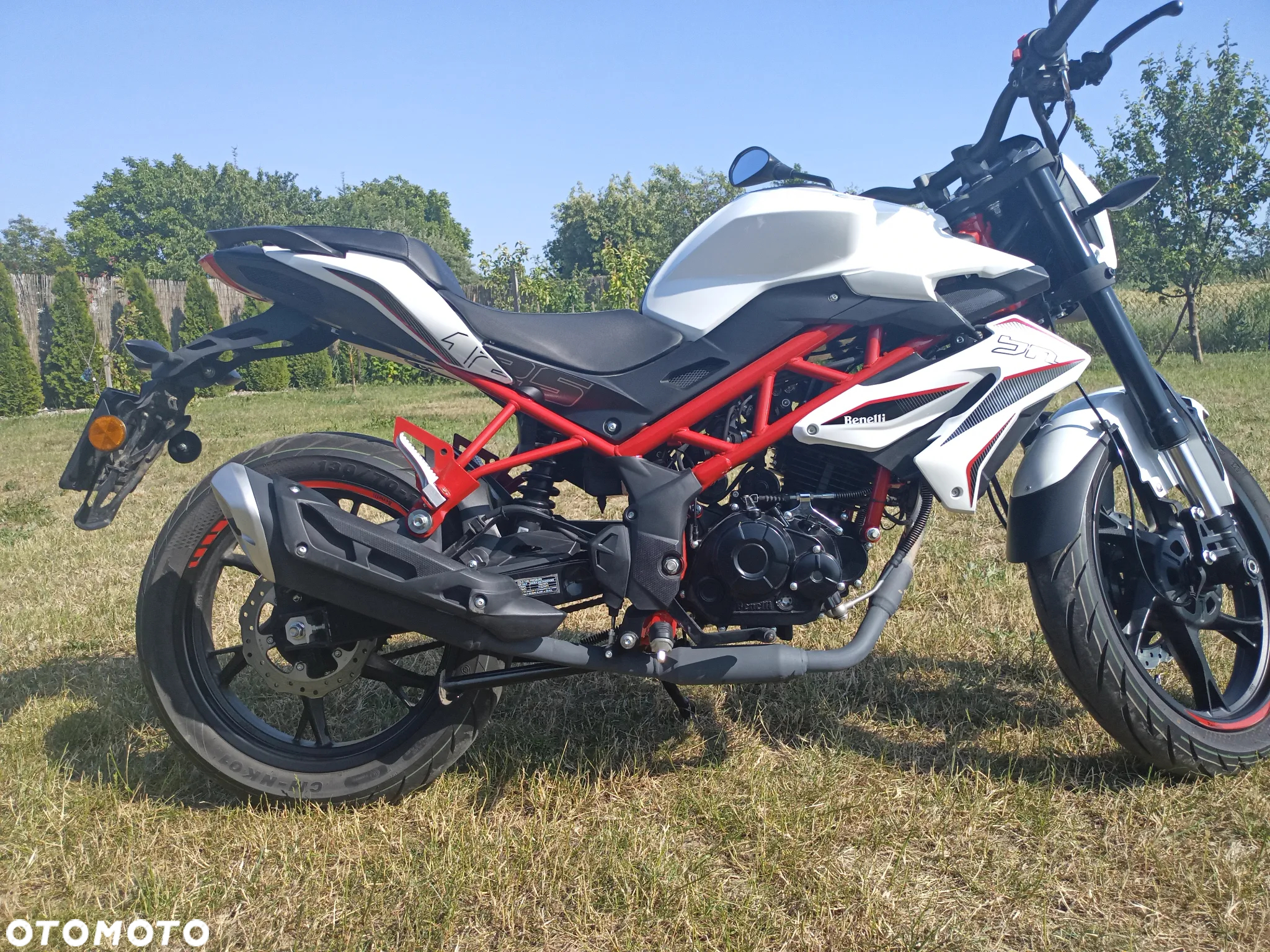 Benelli BN 125 - 5