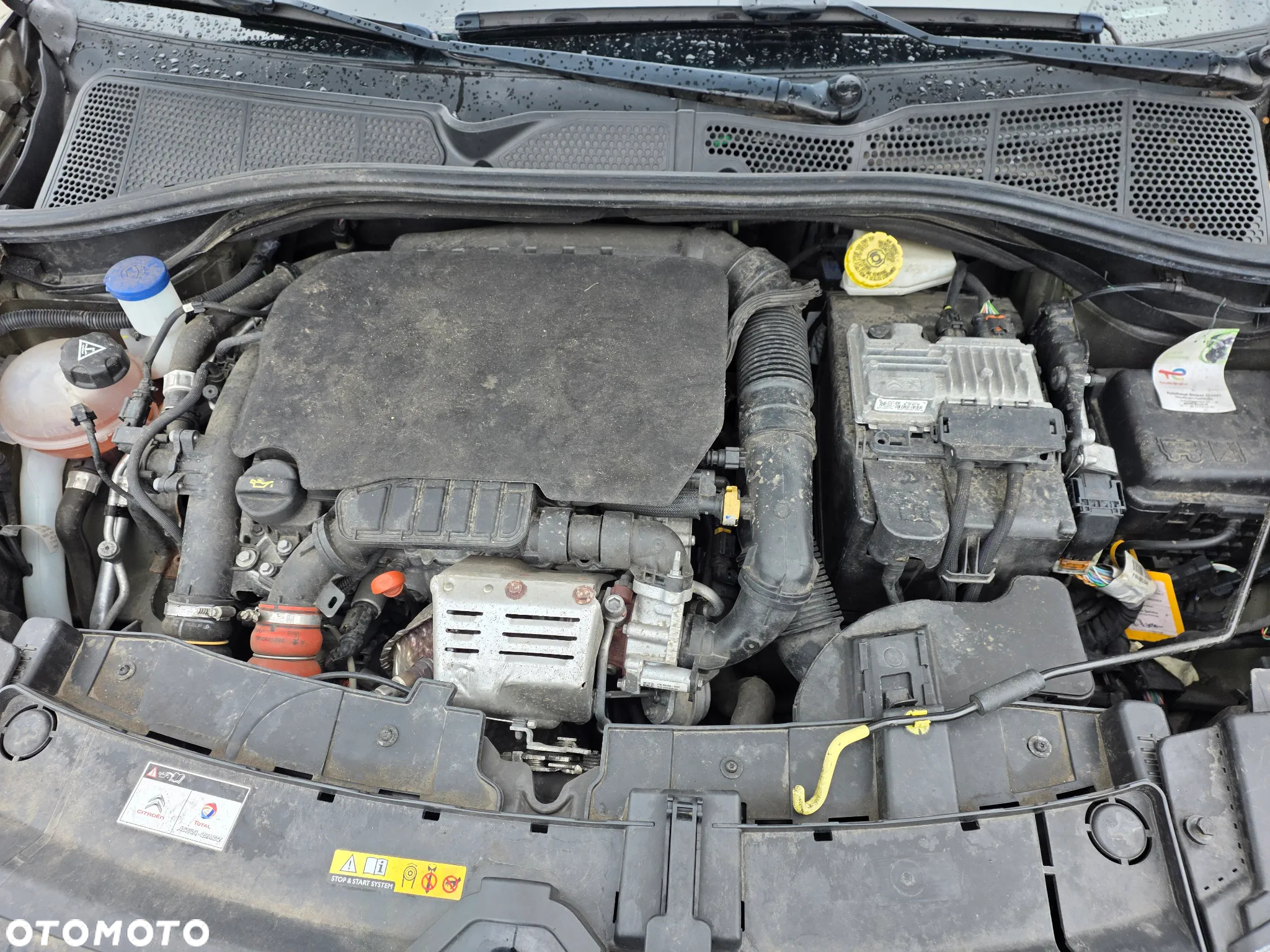 Citroën C4 Cactus 1.2 PureTech Live S&S - 13