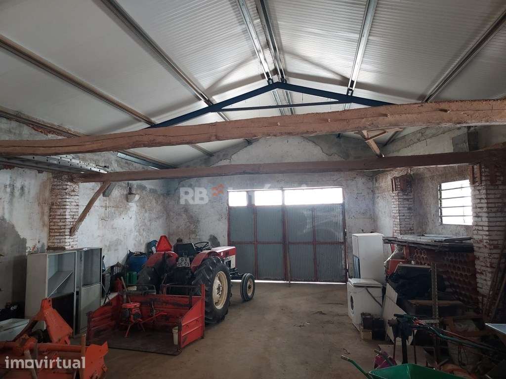 Barracão c/ projeto para moradia - Vila do Paço, Torres Novas - Grande imagem: 4/17