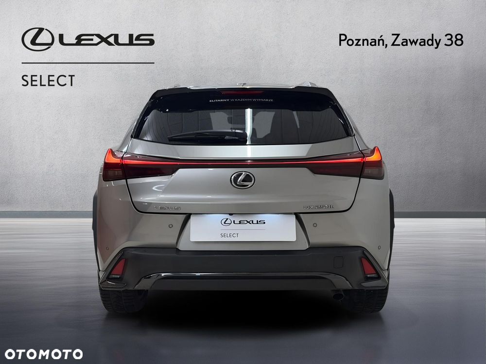 Lexus UX 250h GPF F Sport Design 2WD - 7
