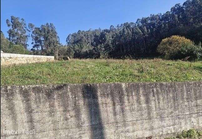 Terreno para venda Reguenga Sto.Tirso - Grande imagem: 2/3