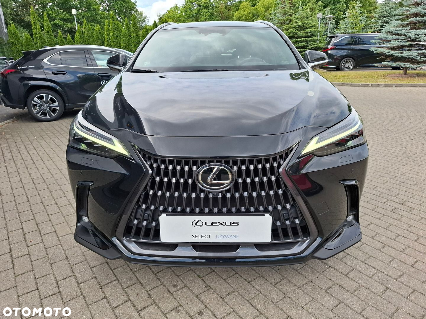 Lexus NX - 8