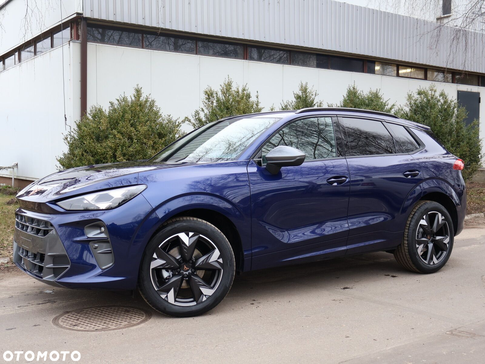 Cupra Terramar 1.5 eTSI mHEV DSG - 2
