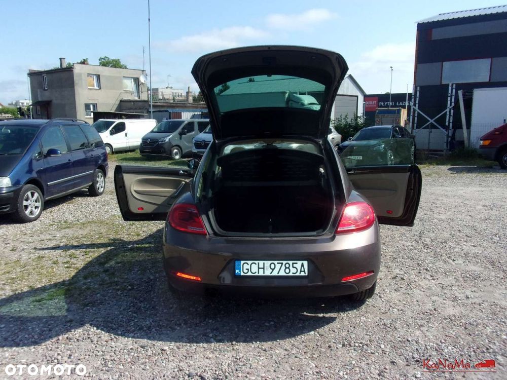 Volkswagen Beetle - 31